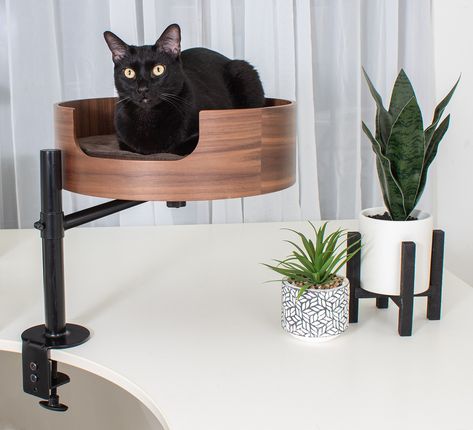 Introducing Desk Nest: The Perfect Cat Bed For Your Office! Cat Bed Ideas, Kitty Toys, Working Desk, Cat Patio, Cat Hotel, Modern Cat Furniture, Cat Plants, Cat Playground, Cat Art Illustration