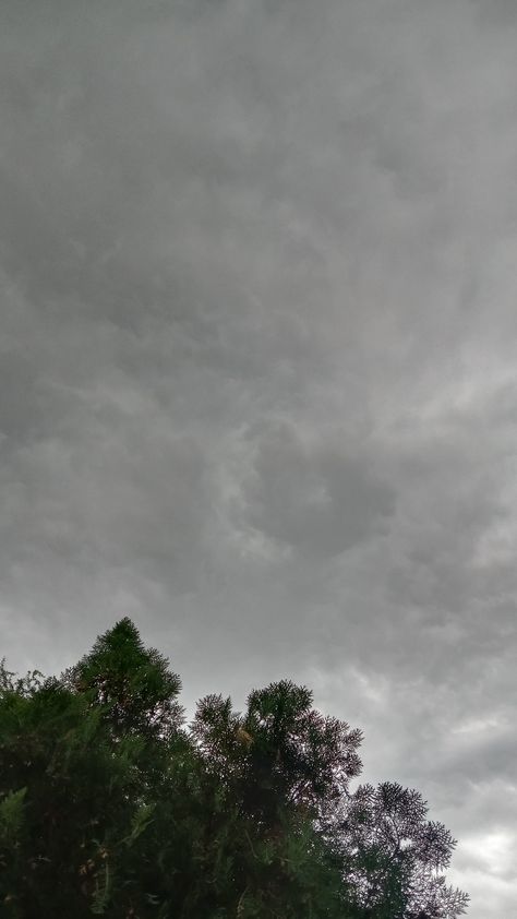 Nature.Tress.Clouds.Wallpaper hd .Rain Aesthetics.Hd photography.Trying to capture Rain Clouds Aesthetic, Rain Aesthetics, Hd Photography, Weather Cloud, Clouds Wallpaper, Rain Photo, Rain Wallpapers, Dark Nature, Clouds Photography