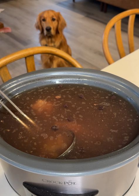 Bone Broth for Dogs Pumpkin Dog Biscuits, Bone Broth For Dogs, Broth For Dogs, Make Bone Broth, Tofu Breakfast, Breakfast Cocktails, Dog Biscuit Recipes, Slow Cooker Pasta, Pumpkin Dog Treats