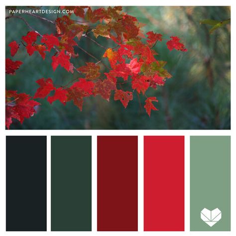 Green Red Colour Palette, Red And Green Color Scheme, Green And Red Colour Palette, Red And Green Palette, Color Palette With Red, Red And Green Color Palette, Color Palette Autumn, 5 Color Palette, Palette Autumn