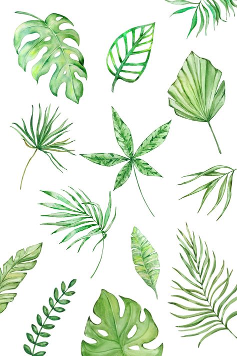 Watercolor Tropical Leaves Clipart, Greenery Clipart, wedding invite, Tropical plants Watercolor Tropical Leaves, Plants Monstera, Greenery Clipart, Jungle Style, Leaves Clipart, Watercolor Tropical, Leaf Clipart, Tropical Animals, Print Planner