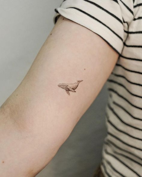 small shark tattoos • Instagram Little Shark Tattoo, Small Whale Tattoo, Small Shark Tattoo, Whale Shark Tattoo, Tattoos Instagram, Whale Tattoo, Small Shark, Single Needle Tattoo, Whale Tattoos