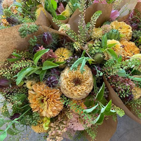 Erin Benzakein - Floret (@floretflower) • Instagram photos and videos Floret Bouquet, Erin Benzakein, Farm Store, Flower Farmer, Sun Sets, Time Of Day, On The Horizon, Flower Farm, Red Eyes