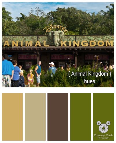 . Disney Attractions, Disney Scrapbooking Layouts, Disney Scrapbook Pages, Disney Memories, Disney Colors, Color Me Beautiful, Disney Decor, Disney Home, Disney World Trip