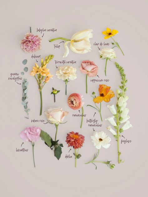 Spring pastel wedding bouquet breakdown | Blushing Rose Floral, Utah Wedding Florist Flower Guide, Flower Names, Garden Party Wedding, Pastel Wedding, Wildflower Wedding, Deco Floral, Utah Wedding, Wedding Flower Arrangements, Utah Weddings