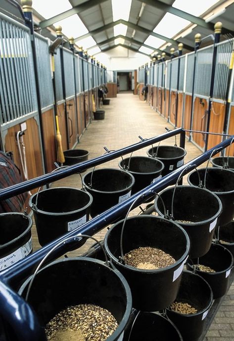 Horse Feed Room, Dream Barn Stables, Horse Tack Rooms, Horse Nutrition, Horse Farm Ideas, Diy Horse Barn, Horse Barn Ideas Stables, Horse Barn Designs, Dream Horse Barns