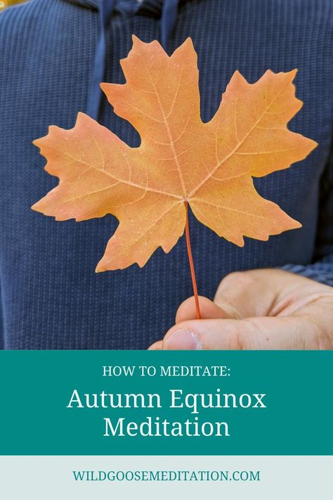 Autumn Leaf Autumn Equinox Meditation and Celebration Ideas Best Guided Meditation, Metta Meditation, Yoga Reading, Guided Meditation Scripts, Vipassana Meditation, Meditation Scripts, Autumnal Equinox, Buddhist Meditation, Meditation Mantras