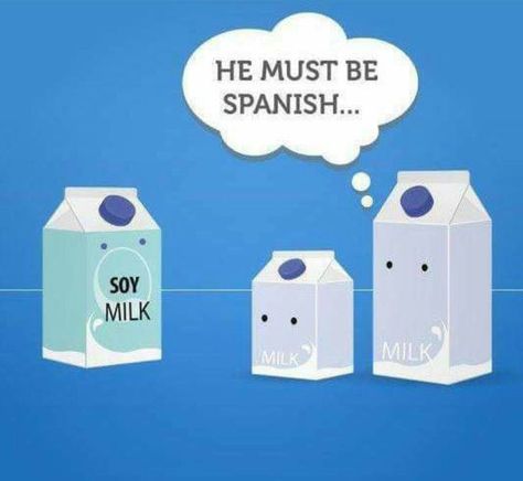 soy milk - pun Memes In Spanish, Spanish Puns, Punny Puns, Spanish Jokes, Funny Spanish Memes, Vegan Humor, Cute Puns, Puns Jokes, Spanish Humor