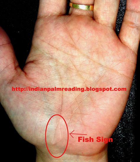 Life Line On Hand, Palm Reading Lines, Indian Palmistry, Palmistry Reading, Fish Sign, Palm Lines, Image Of Fish, Jyotish Astrology, Explanation Text