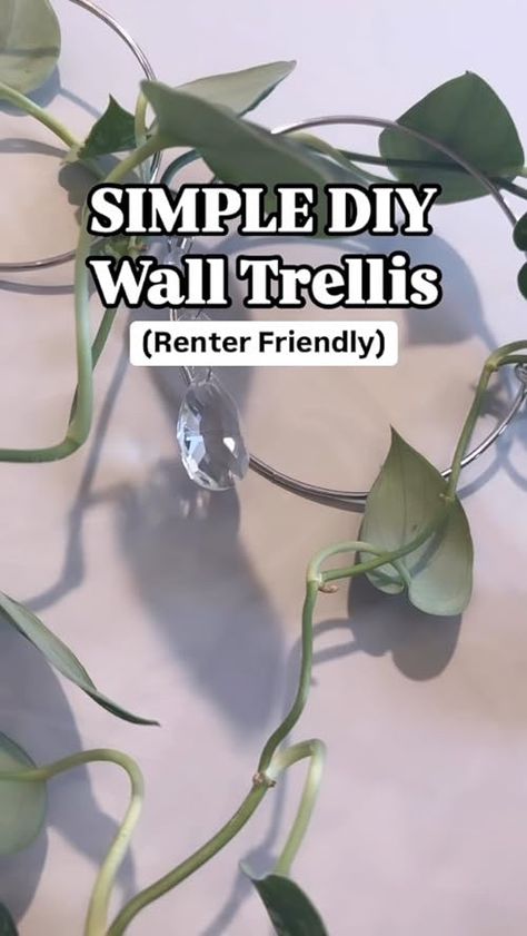 Check out this video Super easy chain houseplant trellis with optional crystals from Amanda Nicole Hanging Trellis, Climbing Indoor, Houseplant Trellis, Building A Trellis, Amanda Nicole, Diy Space Saving, Trellis Indoor, Diy Space, Trellis Plants