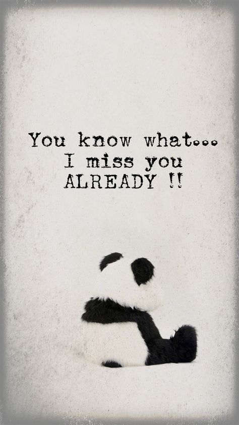Already Missing You, Missing You Already, I Miss You Already, Miss You Already Quotes, Miss U Quotes, I Already Miss You, Miss You Friend, Long Distance Best Friend, Miss You Already
