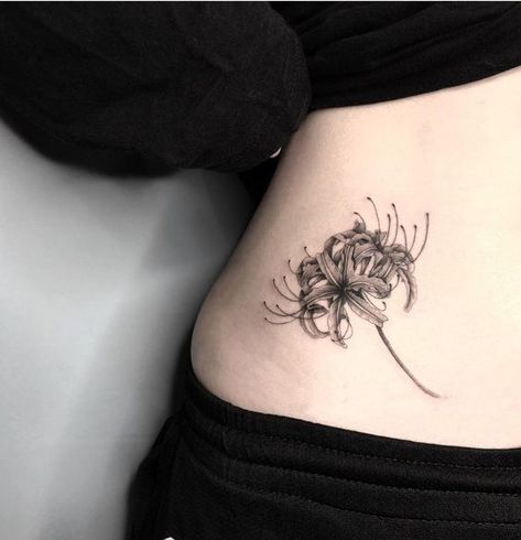 Spider lily tattoo. Lycoris Flower Tattoo, Spider Red Lily Tattoo, Magic Flower Tattoo, Black And White Spider Lily Tattoo, Tattoo Ideas Spider Lily, Spider Lily Hip Tattoo, Spider Lilly Tatoos Black, Red Spider Lily Tattoo Black, Spider Lily Tattoo Men