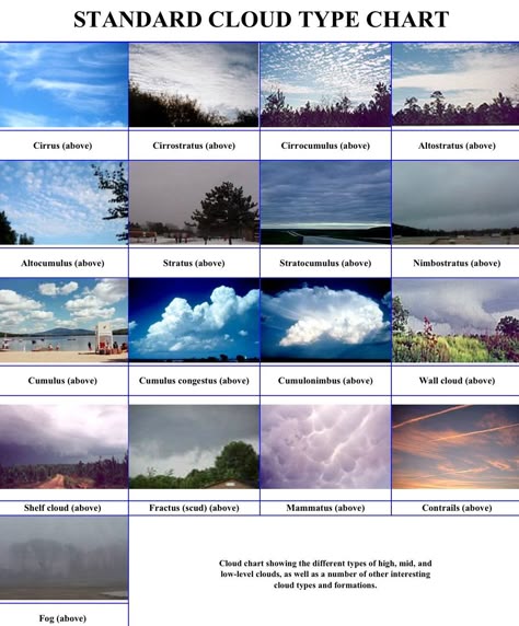 cloud types... I believe the are forgetting the new Asperatus Clouds! Clouds Worksheet, Clouds Types, Cloud Types, Types Of Clouds, Cloud Type, Type Chart, Weather Cloud, Weather Science, Cloud Formations