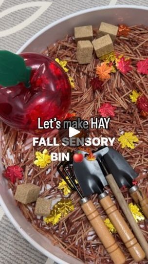 17K views · 2.3K reactions | 🍎🍁FALL SENSORY BIN! How cute did this one turn out? 🙊🙊

To make the “hay,” break up some uncooked spaghetti noodles and place them in a ziplock bag. Add a few squirts of brown food colouring, squirt of hand sanitizer (or vinegar), mix it up and lay it in a tray until dry. When ready, add to a shallow tray with all your fall pieces! Have fun! 😘

➡️Follow @lovebloomlearn for more easy play ideas! 🧚‍♀️

👶🏻👶🏽👶🏾All activities should be supervised by an adult. 

✨🌈For more easy play ideas, check out my “Baby and Toddler Caregiver Play & Milestone guides.” It’s loaded with tips, milestones & play ideas! 🔗Link in bio. 

•
•
•

#messyplay #messyplaytime #messyplayideas #tastesafesensoryplay #toddlerplayideas #toddlerplay #preschoolactivity #preschoolactivi Hay Sensory Bin, Crinkle Paper Sensory Bin, Tactile Sensory Activities, Discovery Table, Brown Food Coloring, October Lessons, Fall Sensory Bin, Fall Sensory, Autumn Confetti