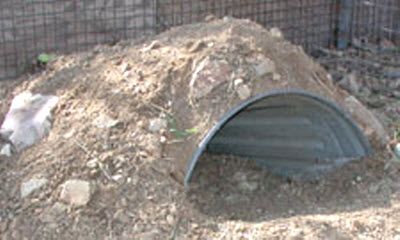 Trash Can Tortoise Burrow - a Bucket Burrow upgrade for growing tortoises! PetDIYs.com Tortoise Burrow, Outdoor Tortoise Enclosure, Turtle Enclosure, Russian Tortoise Diet, Turtle Care, Tortoise Food, Turtle Homes, Tortoise House, Tortoise Enclosure