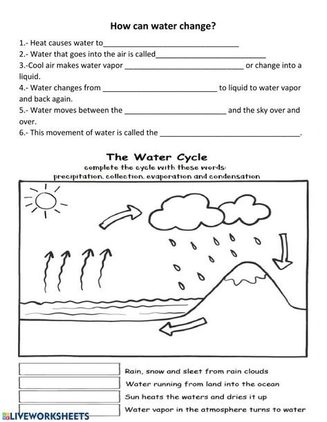 Water Cycle Lesson Plan 2nd Grade, Water Cycle Grade 2, Water Cycle Worksheet 2nd, The Water Cycle Worksheet, Water Cycle Experiments For Kids, Third Grade Science Worksheets, Water Cycle Craft, Water Cycle For Kids, Evs Worksheet