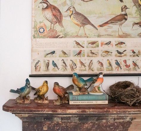 Eclectic Home Tour - Adored House - Kelly Elko Boho Farmhouse Style, Animal Hooks, Home Interior Accessories, Figurine Display, Colorful Moroccan Rugs, Bird Figurines, Rustic Wood Furniture, Figurine Collection, Coastal Boho