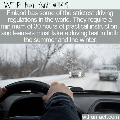 Places Archives - WTF Fun Facts Finland Facts, Daily Fun Facts, Winter Things, Shower Thoughts, Facts Funny, Daily Facts, Faith In Humanity Restored, Mystery Of History, Humanity Restored