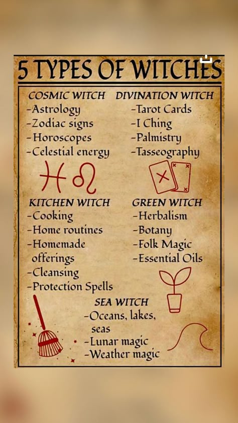 5 Types Of Witches, Kitchen Witch Spells For Beginners, How To Become A Green Witch, Beginner Witch Crystals, What Is A Green Witch, Different Witch Types, Types Of Divination Witchcraft, Type Of Witches, Green Witch Spells