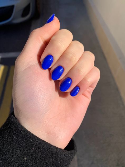 Short Almond Royal Blue Nails, Royal Blue Nails Round, Sonic Blue Nails, Royal Blue Acrylic Nails Short Almond, Royal Blue Dip Nails, Colbolt Blue Nails, Royal Blue Short Nails, Blue Round Nails, Royal Blue Almond Nails