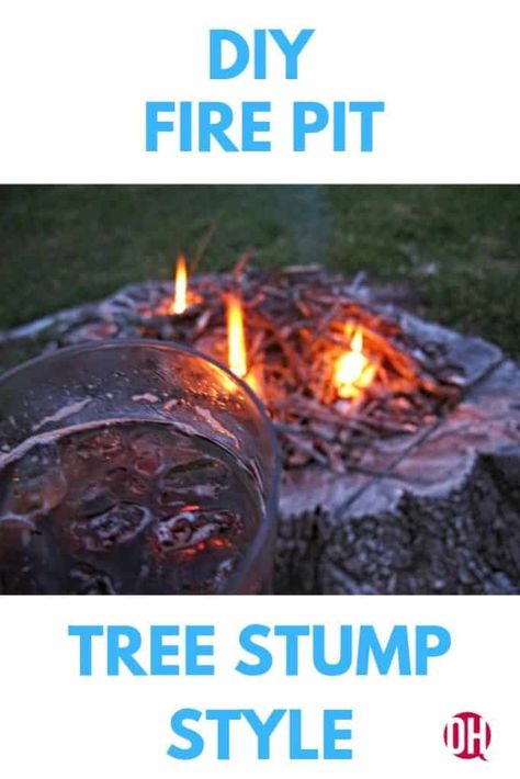 This post offers you the granddaddy of all hillbilly DIY ideas: when you need a stump removed – no need to call a service to grind that stump into oblivion. No siree, JIM BOB! I’m gonna show you how to burn yer very own tree stump fire pit! Tree Stump Fire Pit Ideas, Tree Trunk Fire Pit, Tree Stump Fire Pit Diy, Tree Stump Fire Pit, Pork Shoulder Ribs, Stump Fire Pit, Strawberry Smoothie Recipes, Country Style Pork Ribs, Yard Diy