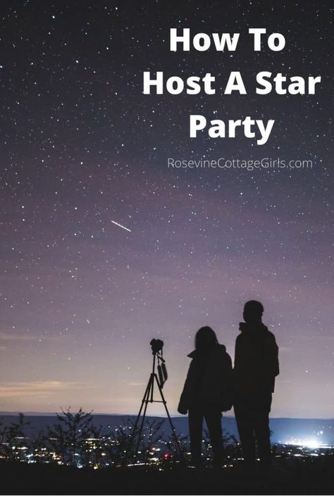 Meteor Shower Party Ideas, Meteor Shower Party, Stargazing Party Ideas, Star Gazing Party, Stargazing Party, Galaxy Cupcakes, Event Activities, Star Party, Meteor Shower