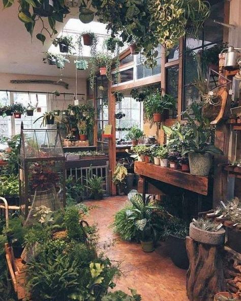 Greenhouse Design, Green House Design, Wooden Greenhouses, Small Greenhouse, Deco Nature, Greenhouse Plans, Plant Aesthetic, Shed Design, House Plants Decor