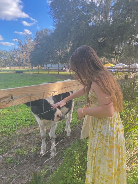 girl with long brown hair in vintage yellow floral dress reaches out to pet a little black and white cow on a farm at an animal rescue, bright sunny day and vintage aesthetic tint to the photo, overall cottagecore aesthetic Cute Animal Profile, Farmcore Aesthetic, Aesthetic Farm, Farm Date, Cottagecore Farm, Pet Cows, Outfit Inspo Aesthetic, Cottagecore Outfit, Farm Pictures