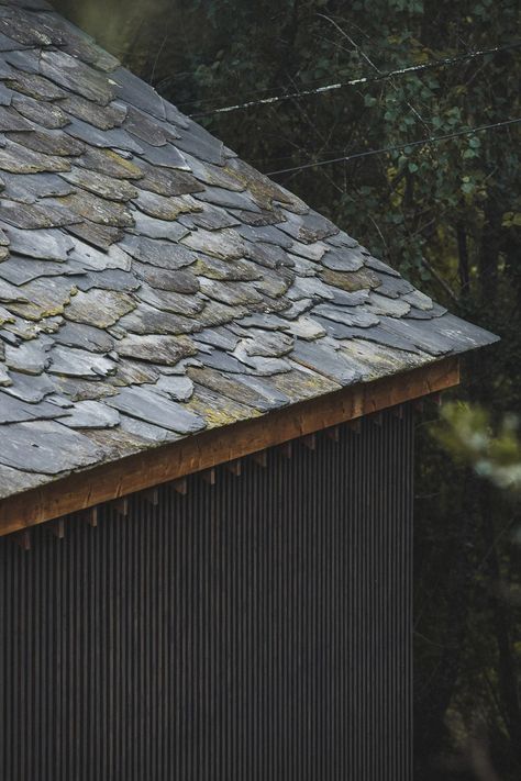 Tree Interior, A Well Traveled Woman, Modular Housing, Small Swimming Pools, Unusual Homes, Architectural Section, Slate Roof, Trondheim, Roof Terrace