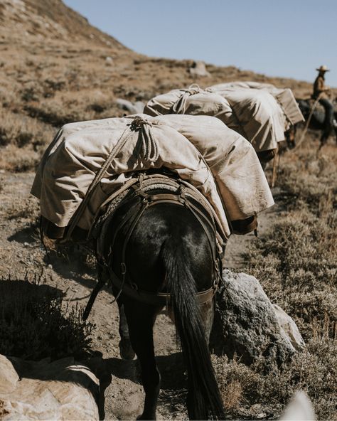 Bureau Of Land Management, Mountain Trail, High Mountain, Wild Mustangs, Pacific Crest Trail, Mountain Trails, John Muir, Sierra Nevada, Western Art