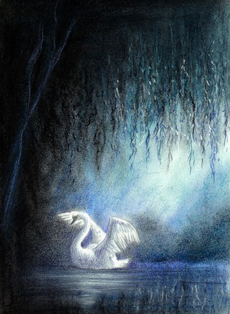 swan Swan Lake Art Painting, Flying Swan Painting, Swan Underwater, Swan In Water Painting, Swan Lake Illustration Fairy Tales, Swan Painting, Paintings, Swans Art, Rennaissance Art