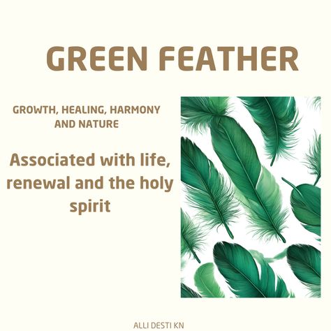 A green feather, symbolizing growth, healing and harmony Feather Meaning, Hello Green, Nurture Your Soul, Green Feathers, Green Feather, Divine Protection, Connection To Nature, Colorful Feathers, Spiritual Meaning