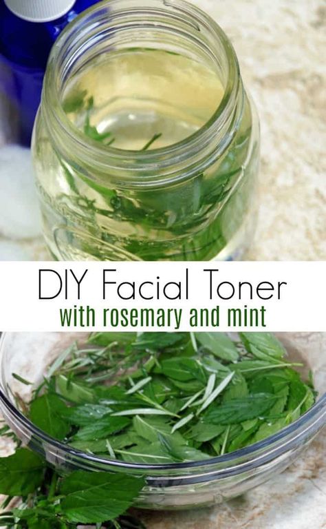 Summer Acne, Summer Skin Care Tips, Summer Skin Care, Homemade Facial, Skin Care Routine For 20s, Skin Care Toner Products, Homemade Facials, Diy Facial, Rosemary Mint