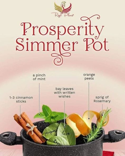 Love this idea....Prosperity Simmer Pot 🖤 Homemade Potpourri, Simmer Pot Recipes, Simmer Pot, Witch Herbs, Witch Spirituality, Easily Offended, Witchy Stuff, Infinite Possibilities, Kitchen Witch