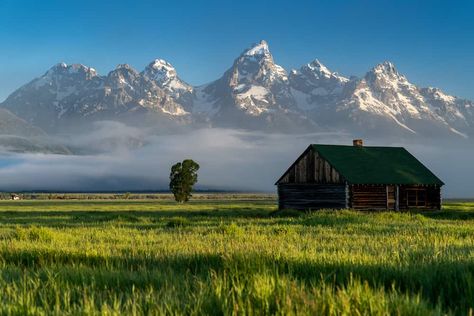 Best States for Homesteading: Know Your Options Oregon Homestead, Buy Land Cheap, Homestead Land, Live Off Grid, Homestead Act, Living Off Grid, Free Land, Buying Land, Cheap Land