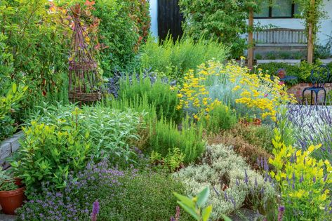 Cottage Garden Ideas, Outdoor Herb Garden, Herb Garden In Kitchen, Herb Garden Design, Herb Gardening, Maria Theresa, Cottage Garden Plants, Fragrant Plant, English Cottage Garden