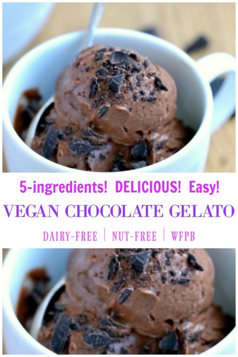 Dairy Free Gelato, Vegan Gelato, Chocolate Gelato, What Is Healthy Food, Vegan Ice Cream Recipe, Gelato Recipe, Dairy Free Ice Cream, Healthy Food Facts, Dairy Free Chocolate