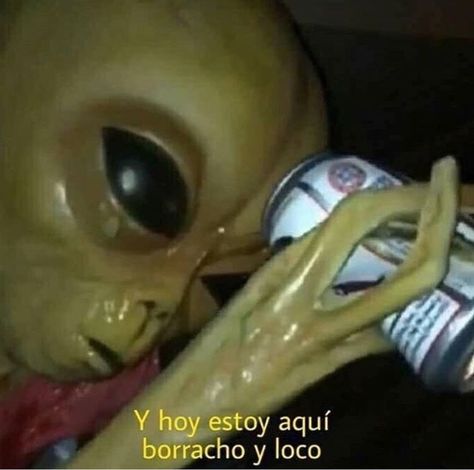 BIG MOOD Lil Mayo, Header Tumblr, Alien Aesthetic, Aliens And Ufos, Alien Art, Funny Wallpaper, Reaction Pics, I Don T Know, Reaction Pictures