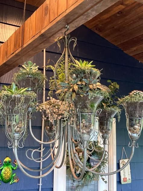 Garden Chandelier Ideas Backyard, Planter Lights Hanging, Greenhouse Chandelier Ideas, Chandelier Planter Diy, Chandelier With Plants, Repurposed Chandelier Ideas, Old Chandelier Ideas Repurposed, Pergola Chandelier, Garden Chandelier Ideas