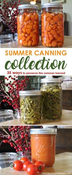 Summer canning is a great way to preserve the bounty of a summer garden or to take advantage of in season summer produce sales! Get the details on preserve summer produce below! Smoked Meals, Summer Canning, Water Bath Canning Recipes, Easy Canning, Pressure Canning Recipes, Canning 101, Canning Ideas, Home Canning Recipes, Canning Vegetables