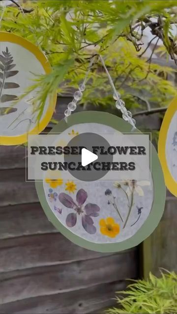 Make a suncatcher with pressed flowers and leaves ☀️🌸🌼🌿  This is a great activity to do at this time of year as there are so... | Instagram Make A Suncatcher, Flower Suncatcher, Pressed Leaves, Colourful Flowers, Flowers Blooming, Pressed Flower, Activities To Do, Spring Crafts, Flowers And Leaves