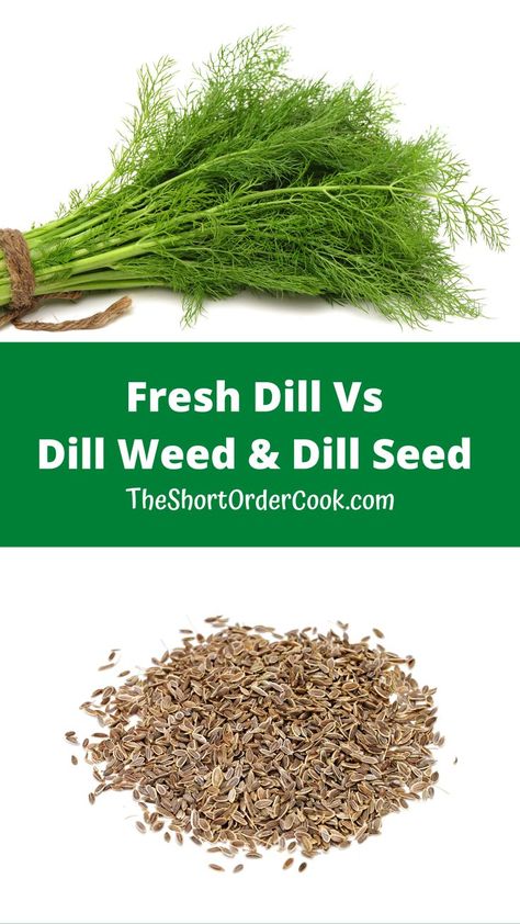 Fresh dill and dried dill seeds on a table. Dill Seeds Uses, Dill Seed Recipes, How To Dry Dill, Making Dill Pickles, Dill Seeds, Herb Uses, Seeds Recipes, Dilly Beans, Dill Recipes