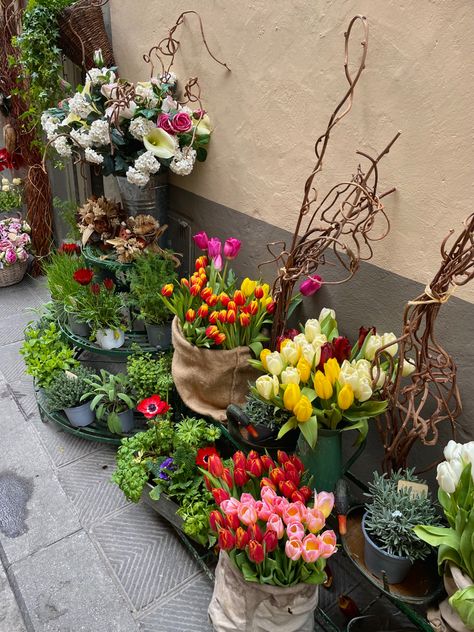 flowers Italian Flower Shop, Florence Core, Palermo Aesthetic, Maggie Core, Italy Flowers, Italian Flowers, Spring Core, Flower Shops, Aesthetic Spring