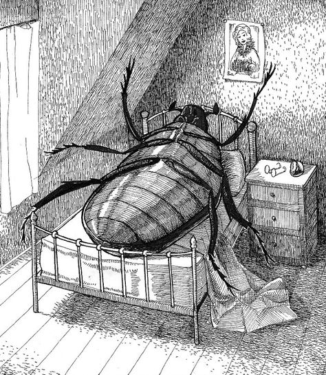 Metamorphosis Book, Gregor Samsa, Metamorphosis Art, Dung Beetle, Literature Humor, Franz Kafka, Goth Art, Classic Literature, Art Sketchbook