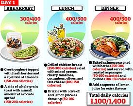 Portfolio Diet, Mediterranean Diet Infographic, Mediterranean Diet Pyramid, Oldways Mediterranean Diet, The Complete Mediterranean Cookbook, Balanced Meal Plan, Lower Ldl Cholesterol, Mind Diet, Popular Diets