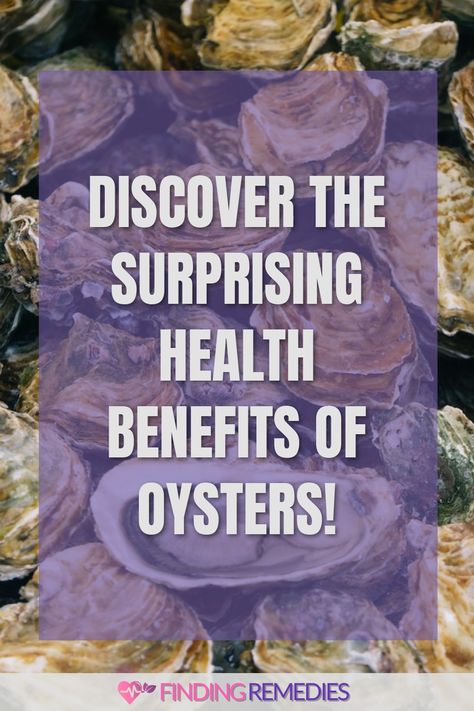 Discover the Surprising Health Benefits of Oysters! Oysters Benefits, Oyster Benefits, Eating Oysters, Health Benefits Of Fruits, Shellfish Allergy, Detoxing Your Body, Cooked Oysters, Smoked Oysters, Benefits Of Fruits