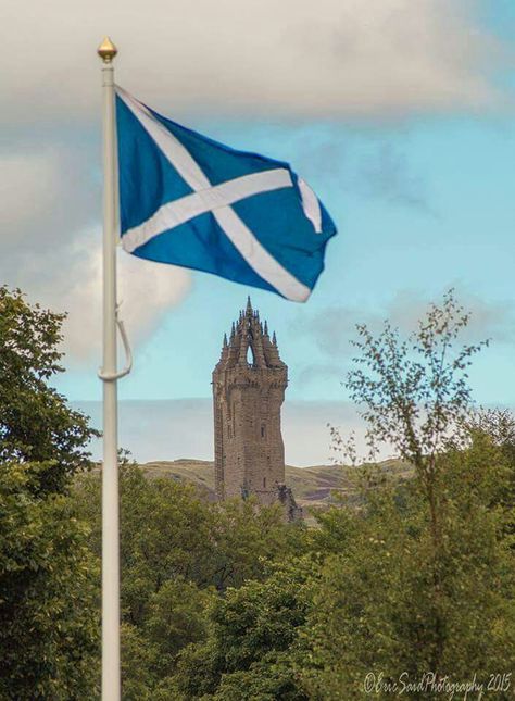 Scotland Flag Wallpaper, Scottish Flag Aesthetic, Scotland Flag Aesthetic, Scottish Culture Aesthetic, Identity Collage, Scottish Aesthetic, Scotland Aesthetic, Scotland Culture, Wallace Monument