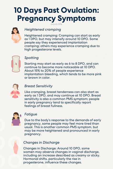 If fertilization has occurred, by ten days past ovulation, 10 DPO, most people will have gone through implantation. Implantation is the beginning of pregnancy, when the blastocyst, or ball of cells, has embedded into the uterine lining. Some people say that they experience symptoms when implantation happens, but many of these symptoms, like cramping and spotting, can also be premenstrual symptoms. How can you tell the difference? Here’s what you need to know at 10 DPO. Late Period Negative Pregnancy Test, Implantation Symptoms, Premenstrual Symptoms, Implantation Bleed Vs Period, Hcg Levels, Preimplantation Genetic Testing, Very Early Pregnancy Symptoms, Ivf Implantation, Progesterone Levels