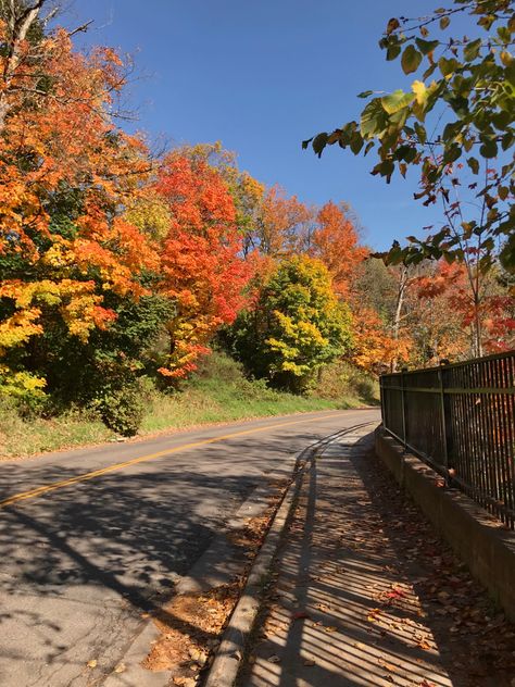 Midwest Fall Aesthetic, Duluth Aesthetic, Fall Colors 2022, Duluth Minnesota Fall, Fall College Aesthetic, Midwest Autumn, Minnesota Autumn, Summer Fall Aesthetic, Minnesota Aesthetic