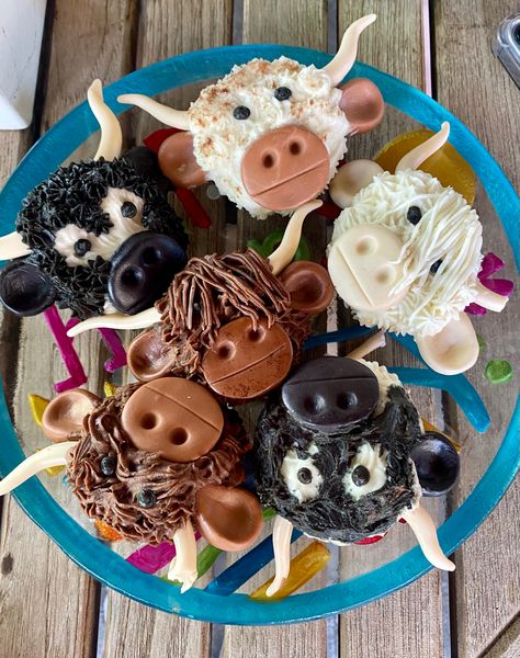 Bull Cupcakes Ideas, Western Birthday Party Sweet 16, Longhorn Themed Party, Cow Themed Charcuterie Board, Cowboy Birthday Cupcakes, Fluffy Cow Cupcakes, Longhorn Birthday Cake, Longhorn Birthday Party, Western Sweet 16 Decorations